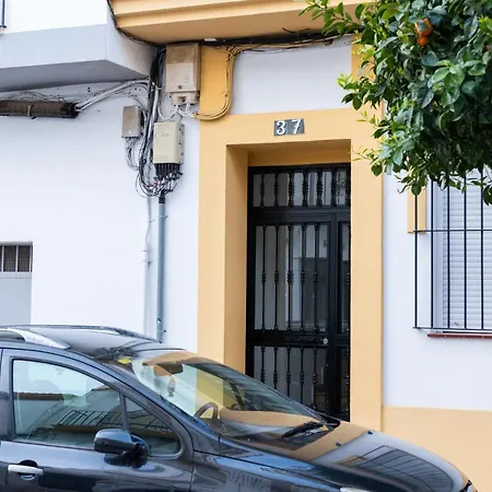 Apartment Downtown Duplex With Terrace In *