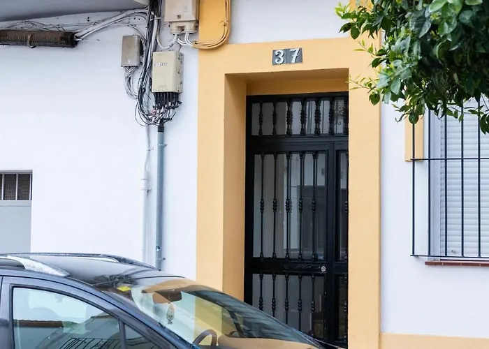 Apartment Downtown Duplex With Terrace In *